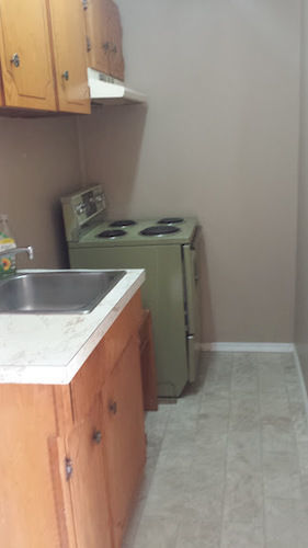 Travellers Rest Motel Salmon Arm Extérieur photo